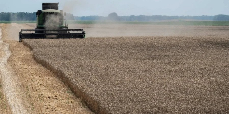 У ЄС є країна, яка гостро потребує зерна. Депутати Європарламенту не бачать проблем через український агроекспорт